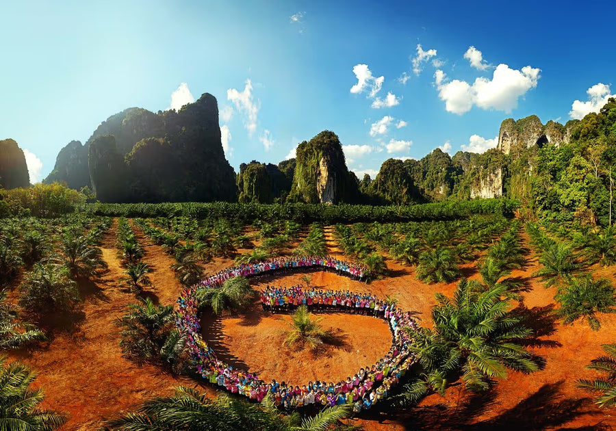 G – Grow (Thailand)