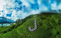 J – Joy (Sri Lanka)