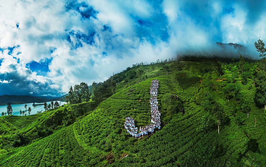J – Joy (Sri Lanka)