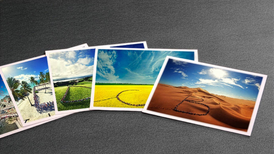 Postcard Bundle
